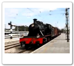 Tren de la Fresa
